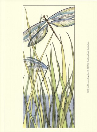 Framed Small Gossamer Dragonflies I (P) Print