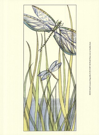 Framed Small Gossamer Dragonflies II (P) Print