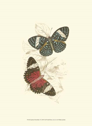 Framed Butterflies I Print