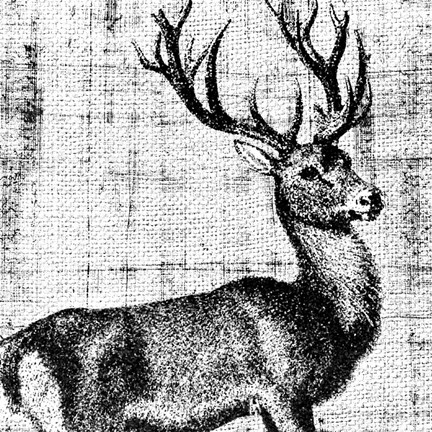 Framed Northwest Territory I Print