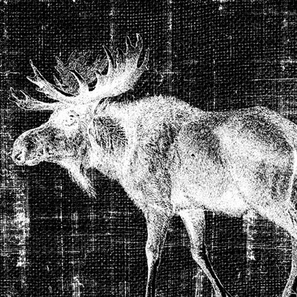 Framed Northwest Territory IV Print