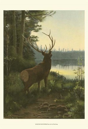 Framed Elk Print