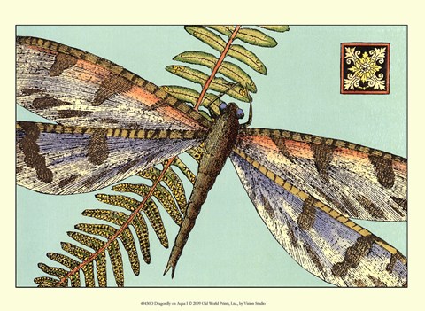 Framed Dragonfly on Aqua I Print