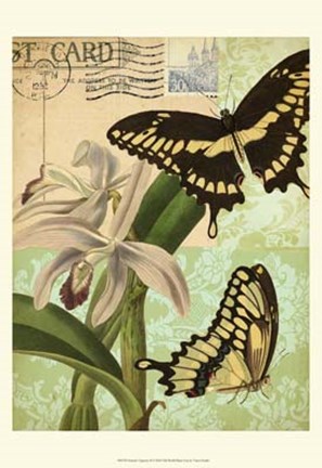 Framed Nature&#39;s Tapestry II Print