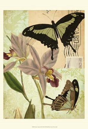 Framed Nature&#39;s Tapestry III Print