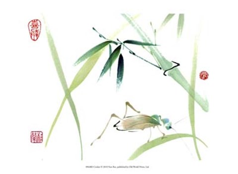 Framed Cricket Print