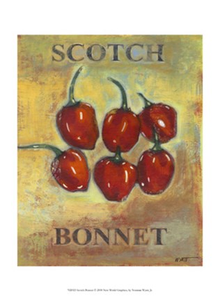 Framed Scotch Bonnet Print