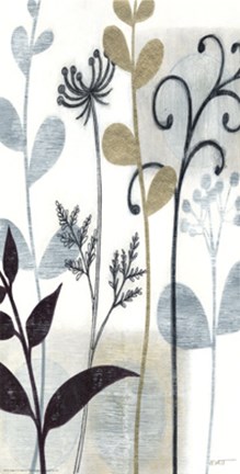 Framed Zephyr II Print