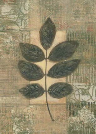 Framed Leaf Textures II Print