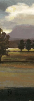 Framed Mountain Range III Print