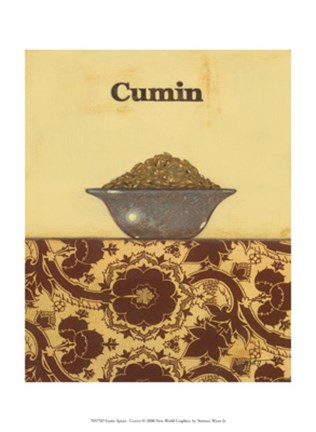 Framed Exotic Spices - Cumin Print