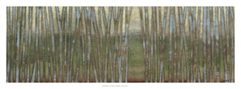 Framed Blue Birch Forest II Print