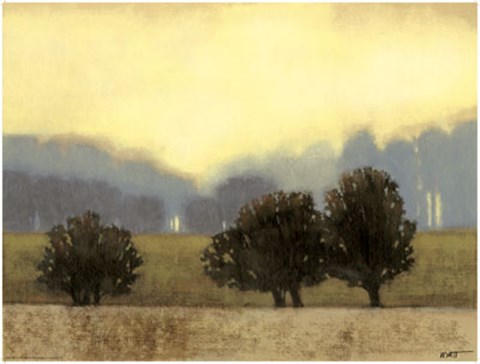 Framed Villa Park II Print