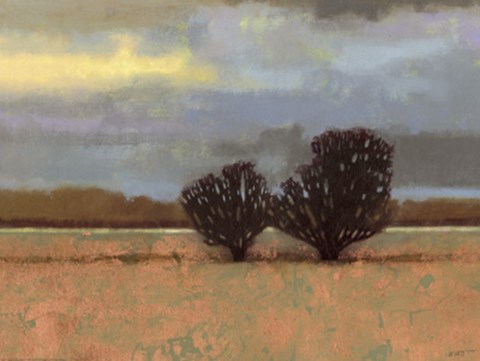 Framed Approaching Storm I Print