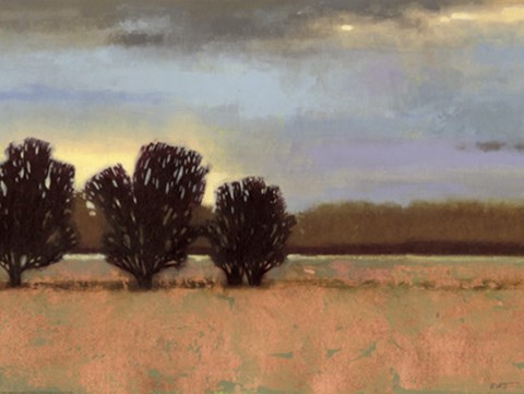 Framed Approaching Storm II Print