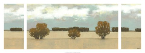 Framed Panoramic Scent of Rain Print