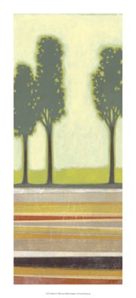 Framed Park II Print