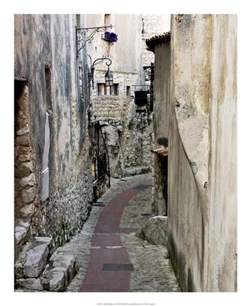 Framed Cobbled Walkway II Print