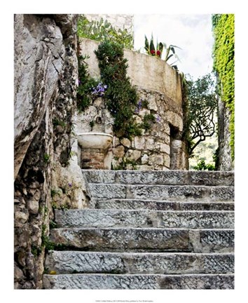 Framed Cobbled Walkway III Print