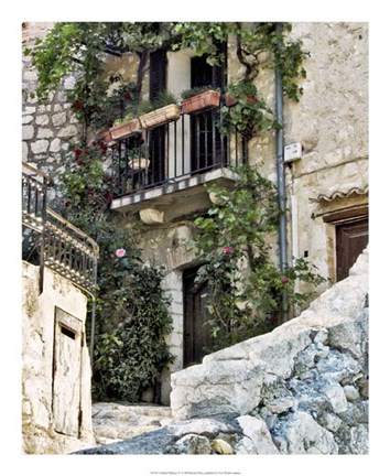 Framed Cobbled Walkway IV Print