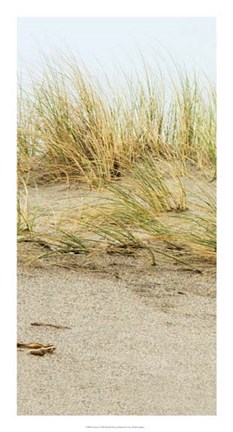 Framed Dunes I Print