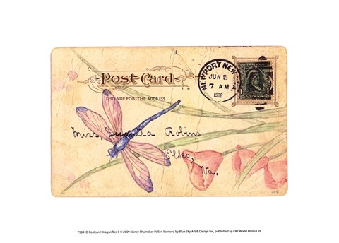 Framed Postcard Dragonfly II Print