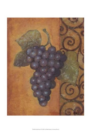 Framed Scrolled Grapes II Print