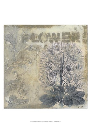 Framed Beautiful Flowers II Print