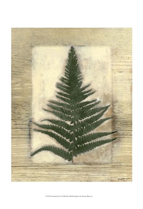 Framed Texturized Fern I Print