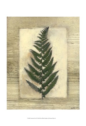 Framed Texturized Fern II Print