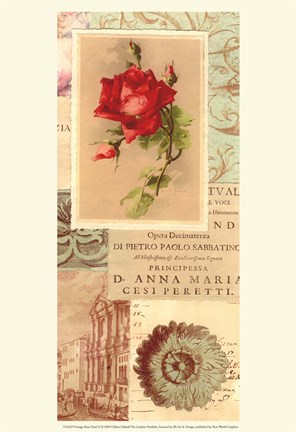 Framed Vintage Rose Panel II Print