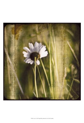 Framed Green I Print