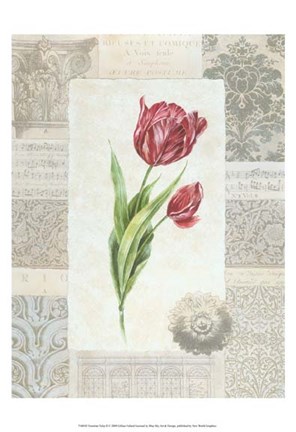 Framed Victorian Tulip II Print