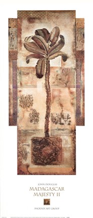 Framed Madagascar Majesty II Print