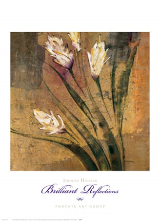 Framed Brilliant Reflections IV Print