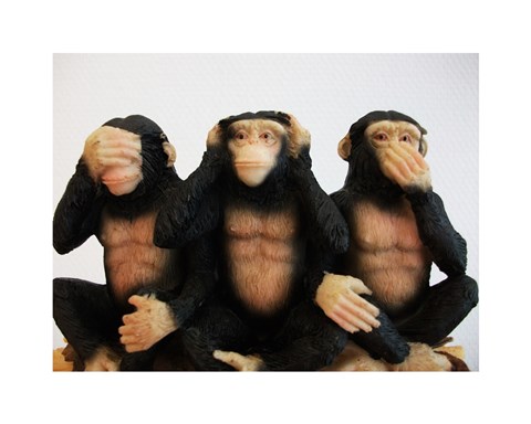 Framed Monkeys - See No Evil, Hear No Evil, Speak No Evil Print