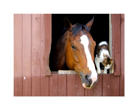 Framed Best friends Print