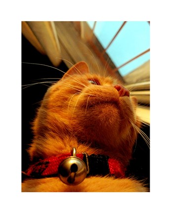 Framed Mr. Jingles Print