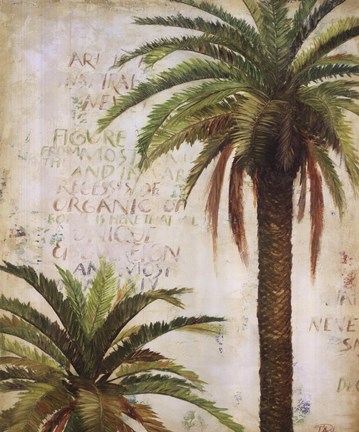 Framed Palms and Scrolls I Print