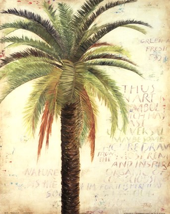 Framed Palms and Scrolls II Print