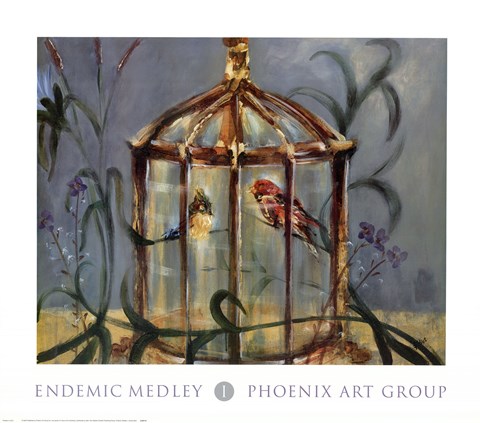 Framed Endemic Medley I Print