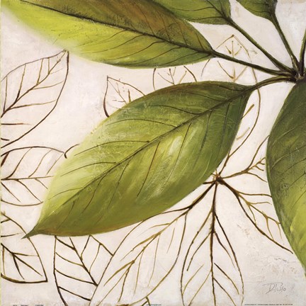 Framed Fresh Leaves I Print