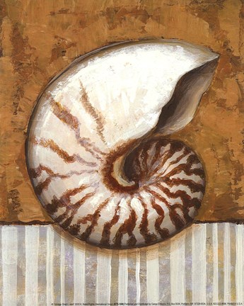 Framed Vintage Shell I - mini Print