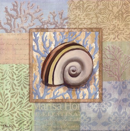 Framed Oceanic Shell Collage IV Print