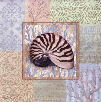 Framed Oceanic Shell Collage III Print