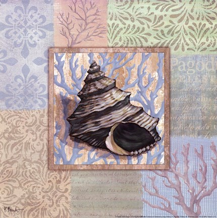 Framed Oceanic Shell Collage II Print