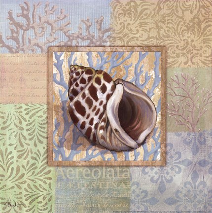 Framed Oceanic Shell Collage I Print