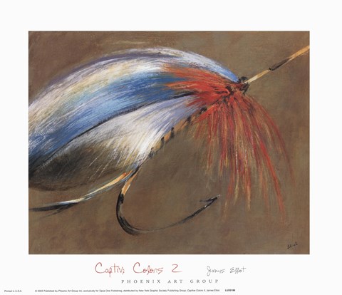 Framed Captive Colors II Print