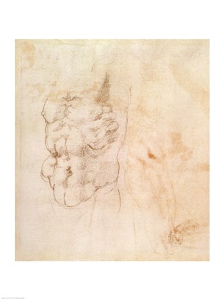 Framed Torso Study Print