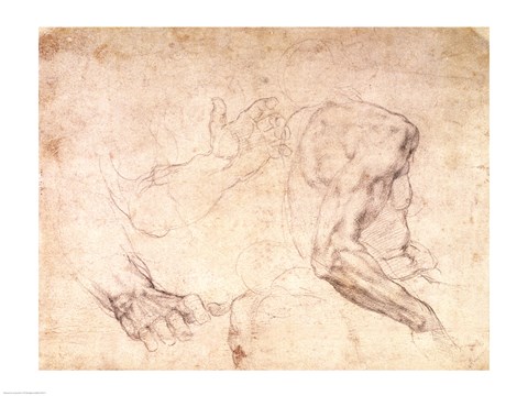 Framed Studies of hands and an arm Print
